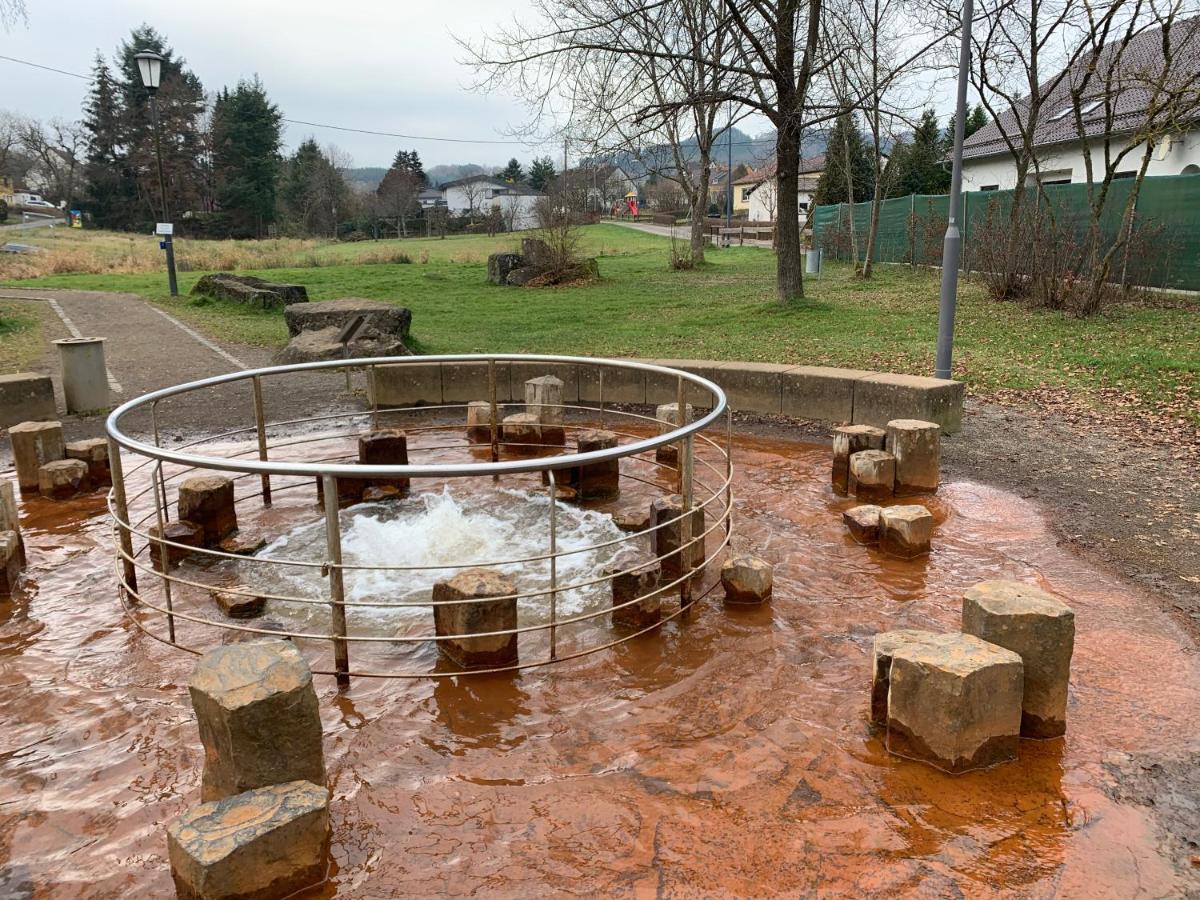 Ferienhaus Backesgarten Fuer 22 Personen Neichen Exterior foto