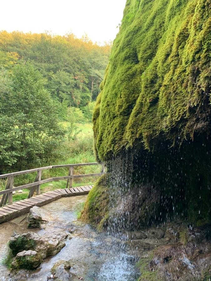 Ferienhaus Backesgarten Fuer 22 Personen Neichen Exterior foto